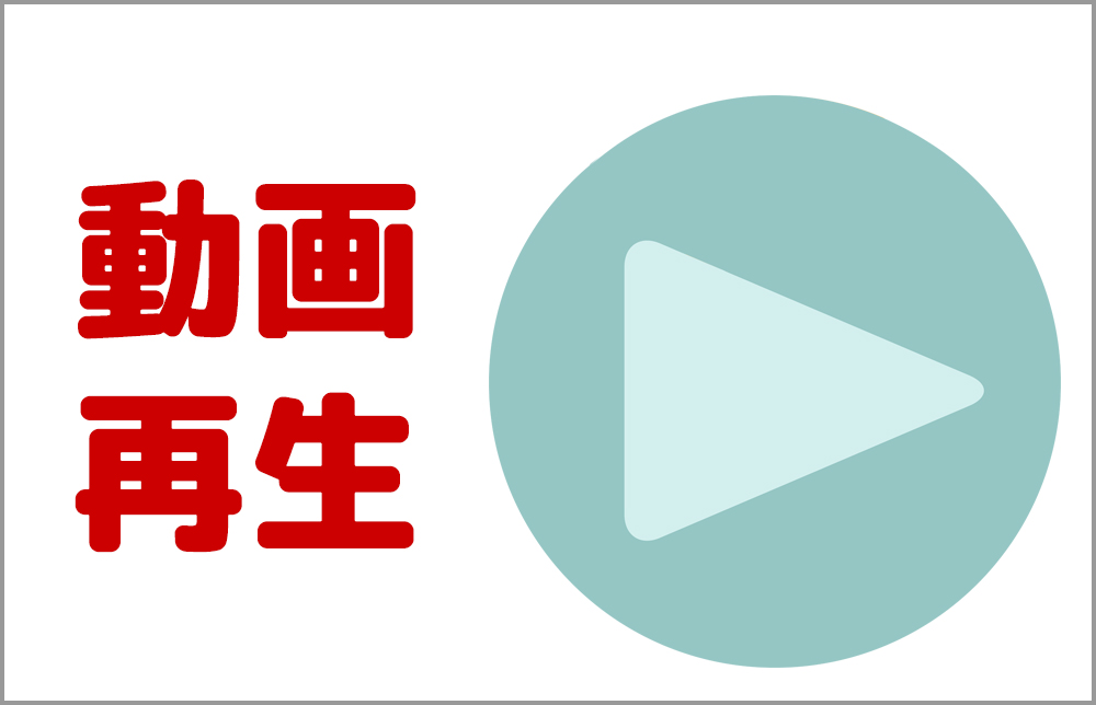 宮城県ペットショップ/ペットショップ鈴花　カナリア情報