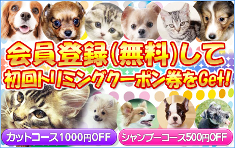 犬・猫のトリミングなら宮城県ペットショップ鈴花／新規会員様を募集中です！