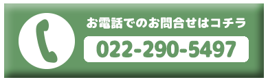 宮城県ペットショップ/ペットショップ鈴花／子猫・問合せ