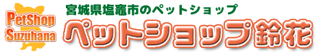 宮城・仙台で子犬子猫をお探しなら！宮城県ペットショップ/ペットショップ鈴花